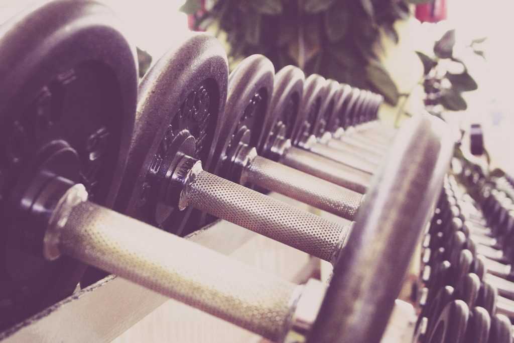 Guide To Bumper Plates