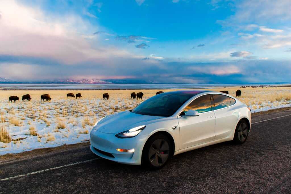 Five of the Coolest EV Cars